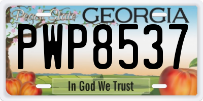 GA license plate PWP8537