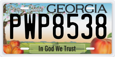 GA license plate PWP8538
