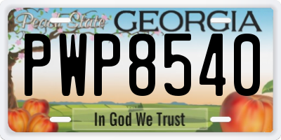 GA license plate PWP8540