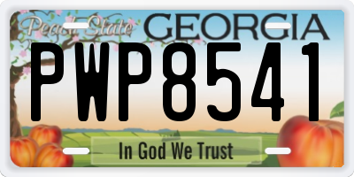 GA license plate PWP8541