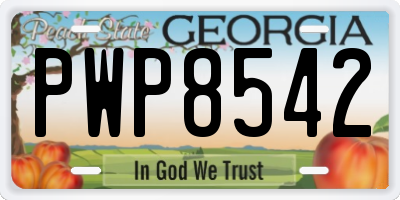 GA license plate PWP8542