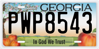 GA license plate PWP8543
