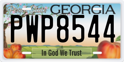 GA license plate PWP8544