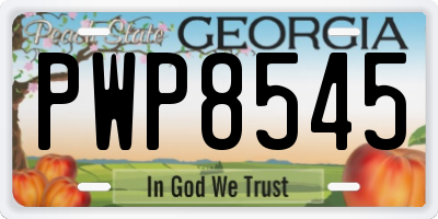 GA license plate PWP8545