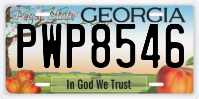 GA license plate PWP8546