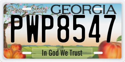 GA license plate PWP8547