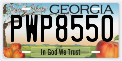 GA license plate PWP8550