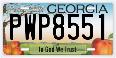 GA license plate PWP8551