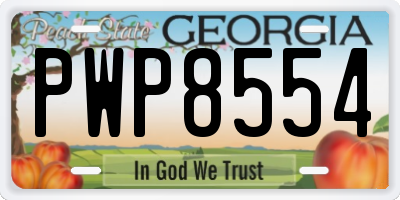GA license plate PWP8554