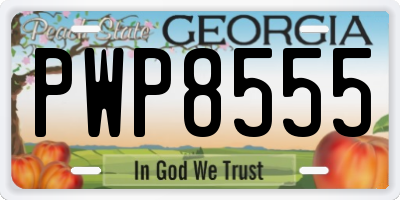 GA license plate PWP8555