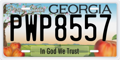 GA license plate PWP8557