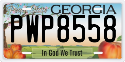 GA license plate PWP8558
