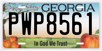 GA license plate PWP8561