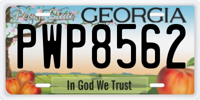 GA license plate PWP8562