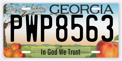 GA license plate PWP8563