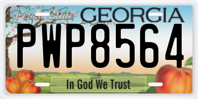 GA license plate PWP8564