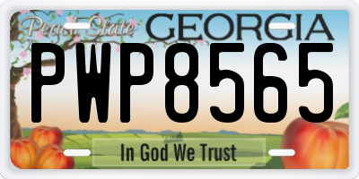 GA license plate PWP8565