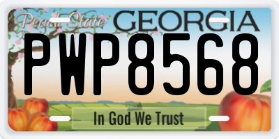 GA license plate PWP8568