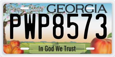 GA license plate PWP8573