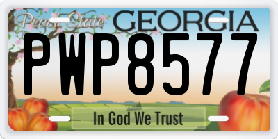 GA license plate PWP8577
