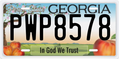 GA license plate PWP8578