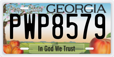 GA license plate PWP8579
