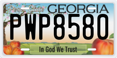 GA license plate PWP8580