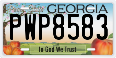 GA license plate PWP8583