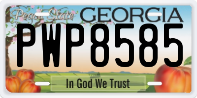 GA license plate PWP8585