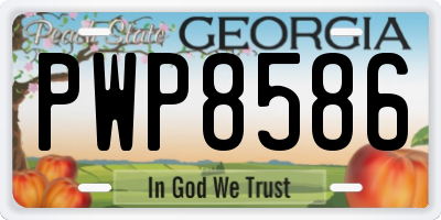 GA license plate PWP8586