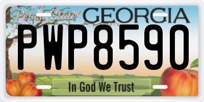 GA license plate PWP8590