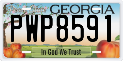 GA license plate PWP8591