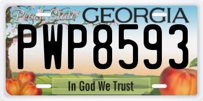 GA license plate PWP8593