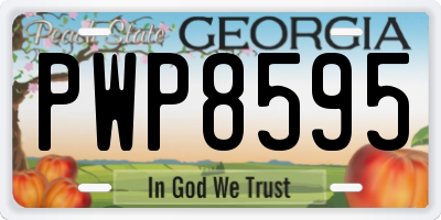 GA license plate PWP8595