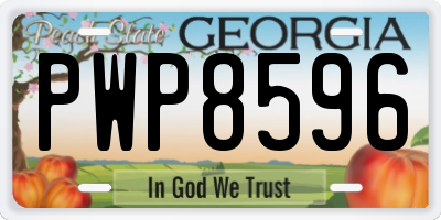GA license plate PWP8596