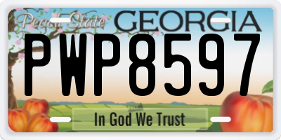 GA license plate PWP8597