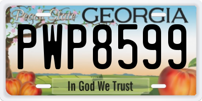 GA license plate PWP8599
