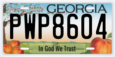 GA license plate PWP8604