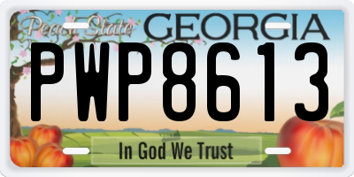 GA license plate PWP8613