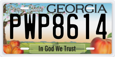 GA license plate PWP8614