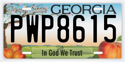 GA license plate PWP8615