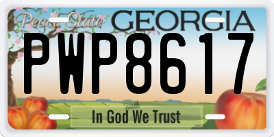 GA license plate PWP8617