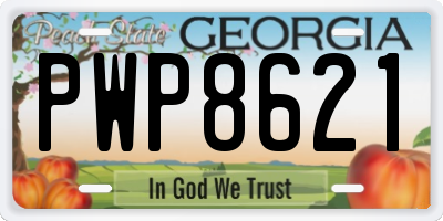 GA license plate PWP8621