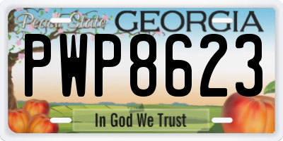 GA license plate PWP8623