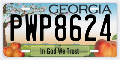 GA license plate PWP8624