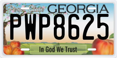 GA license plate PWP8625