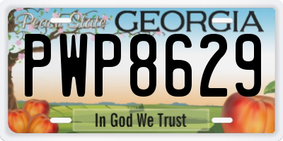 GA license plate PWP8629
