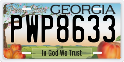 GA license plate PWP8633