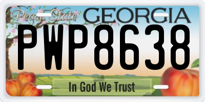 GA license plate PWP8638