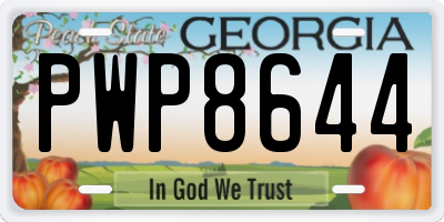 GA license plate PWP8644